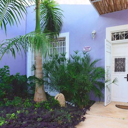 メリダ Casa Violetaヴィラ エクステリア 写真