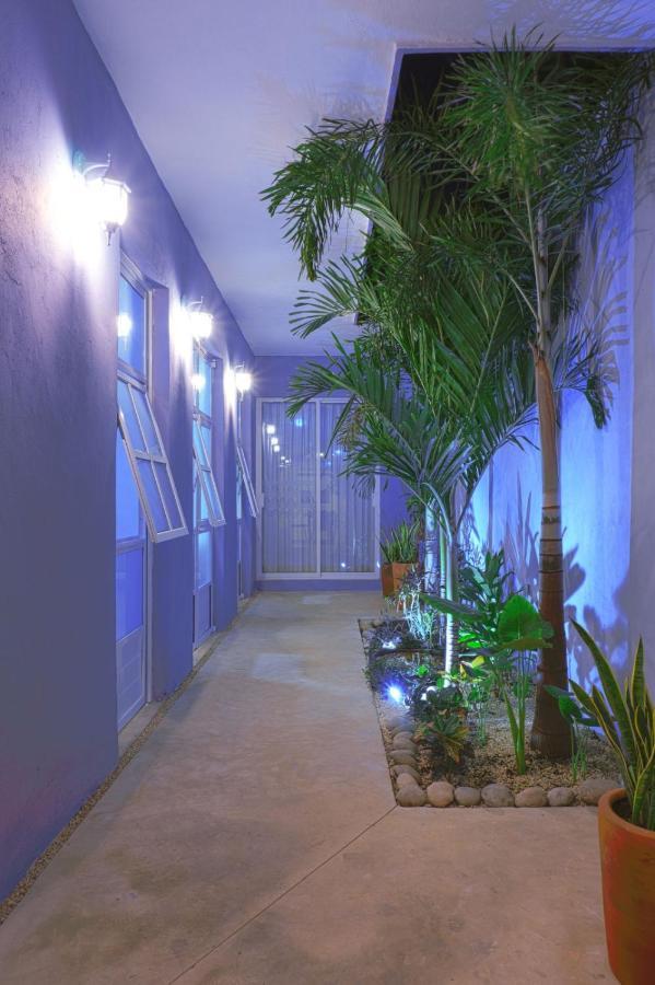メリダ Casa Violetaヴィラ エクステリア 写真